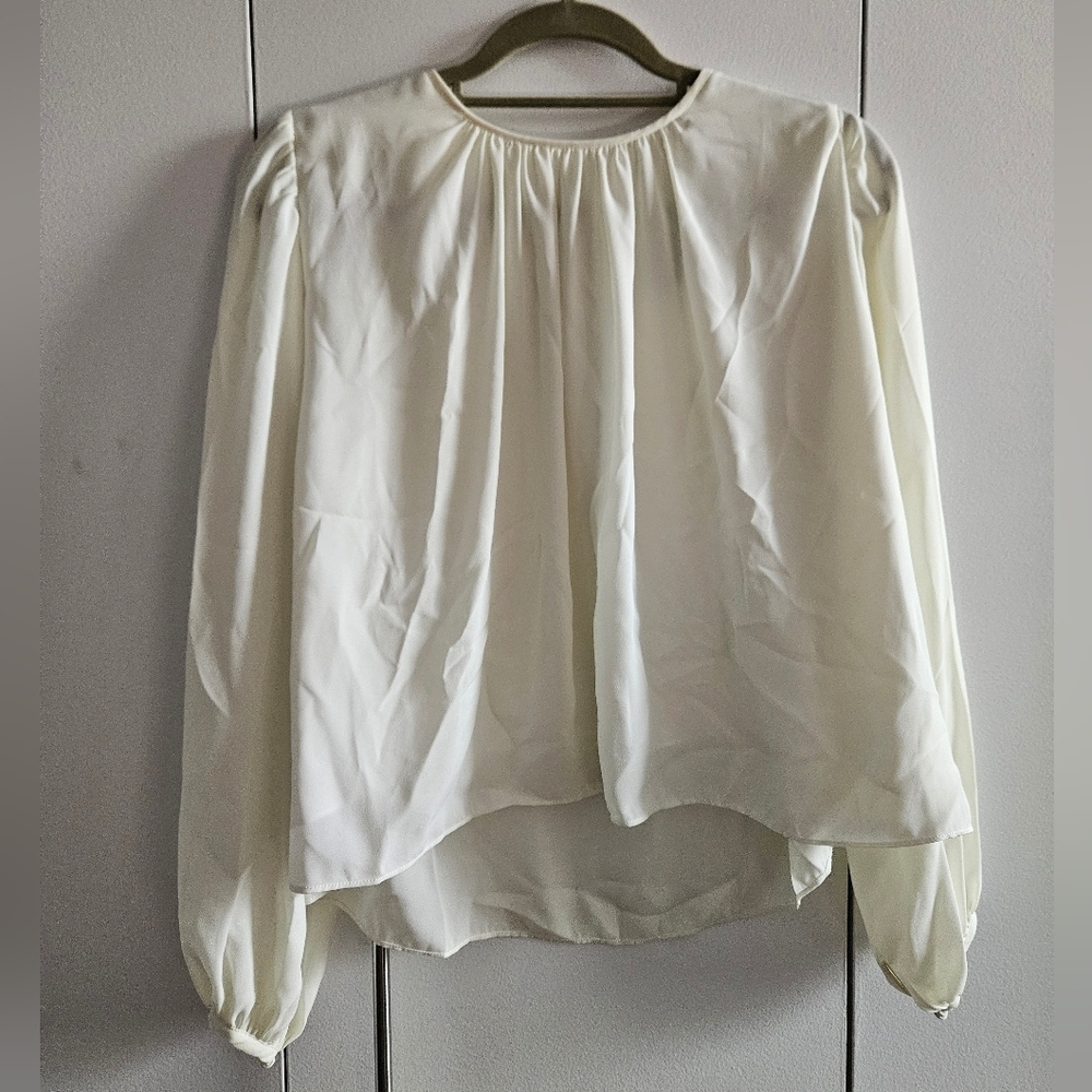 Modern Citizen Size Small Feminine Blouse In Light Mint Green Color